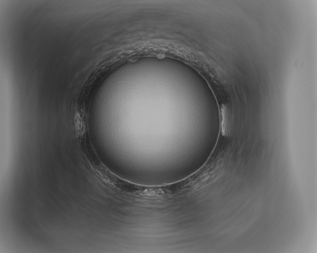 X0000113201491200909101101