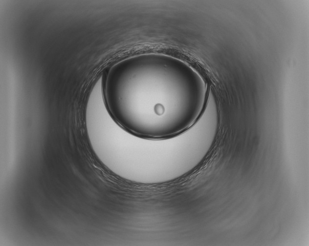 X0000113201492200909101101