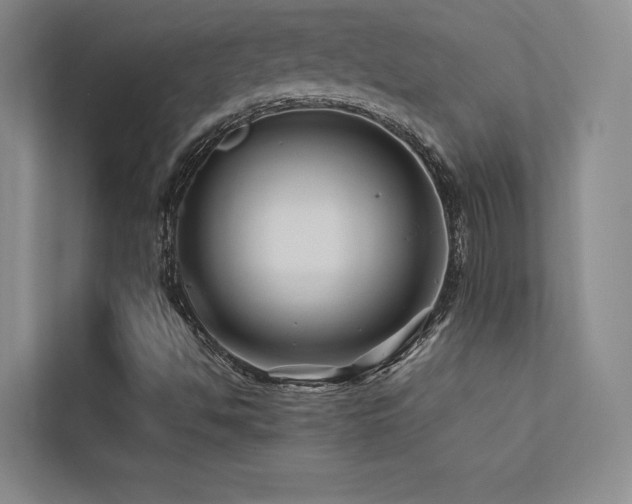 X0000113201494200909101101