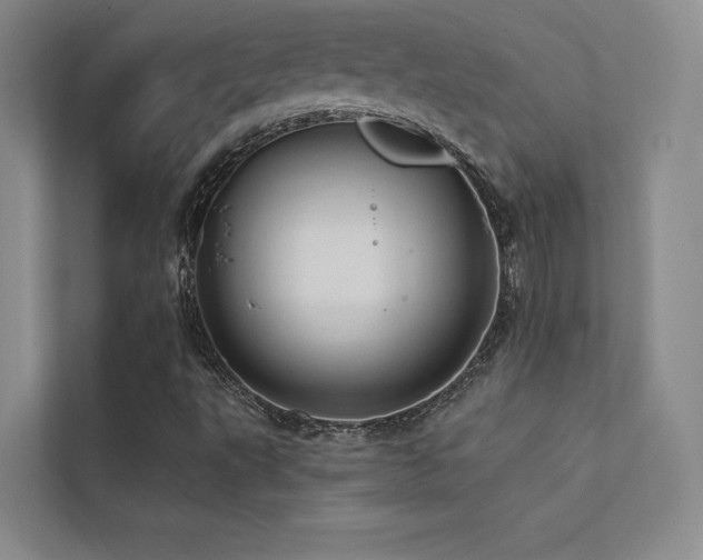 X0000113201495200909101101