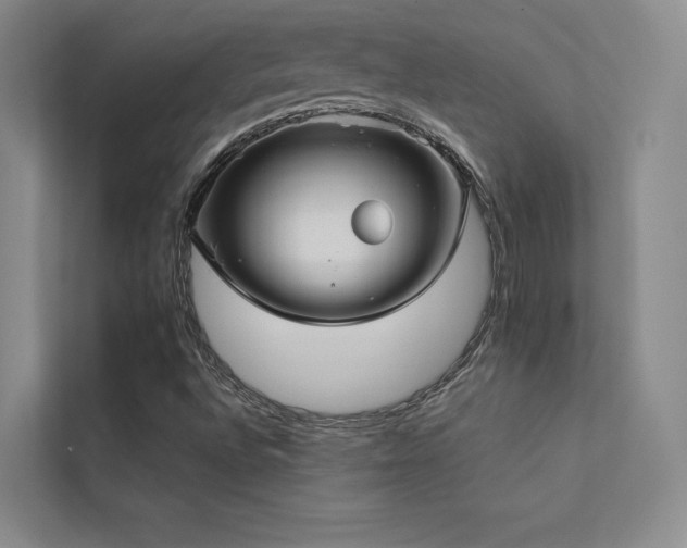 X0000113201496200909101101