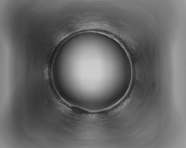 X0000113201497200909101101