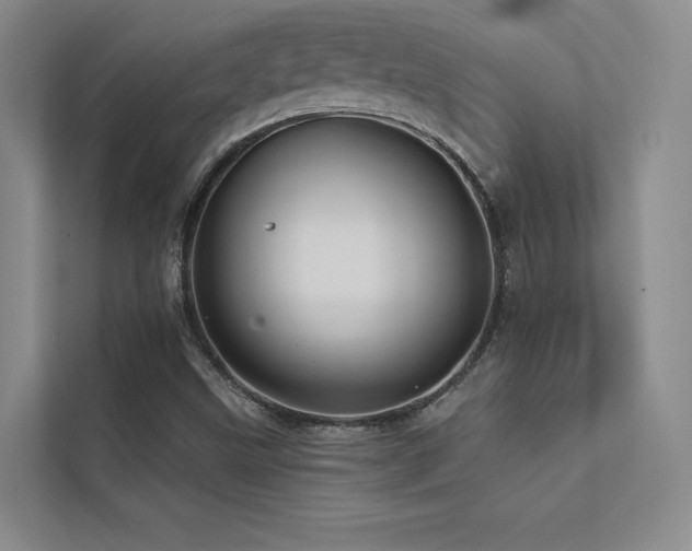 X0000113201499200909101101