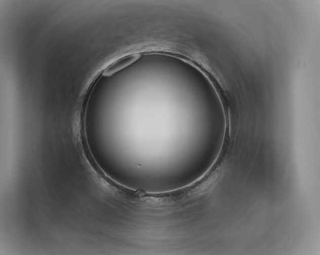 X0000113201500200909101101