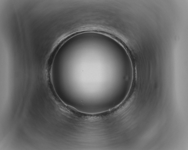 X0000113201501200909101101