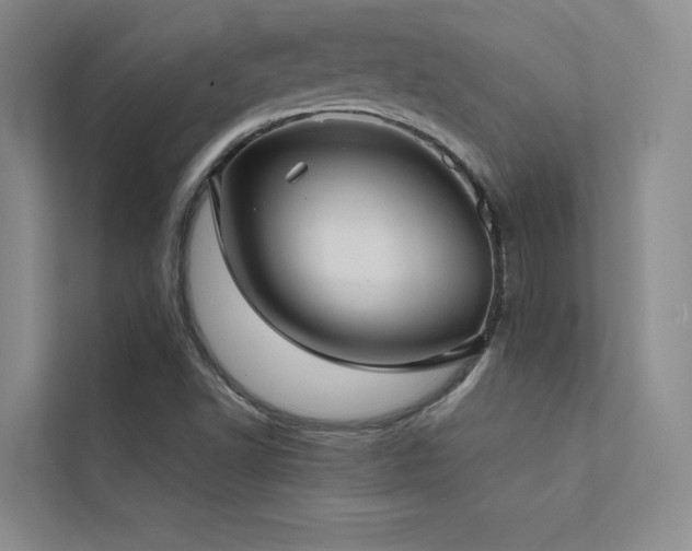 X0000113201502200909101101