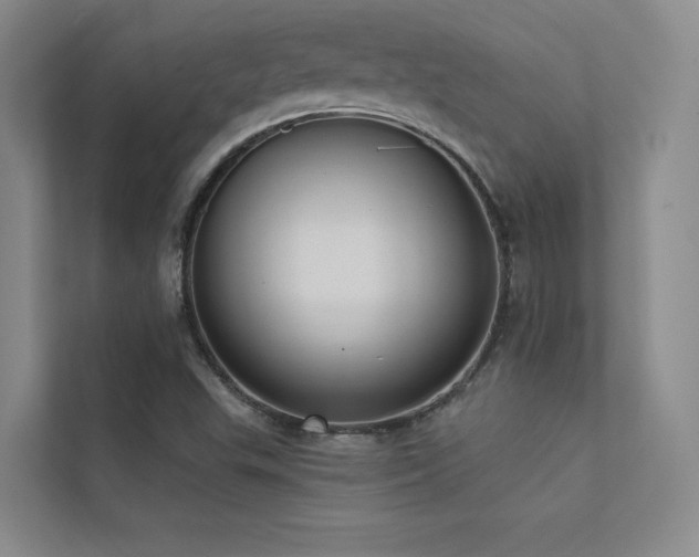 X0000113201503200909101101