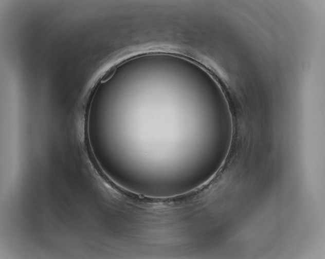 X0000113201504200909101101