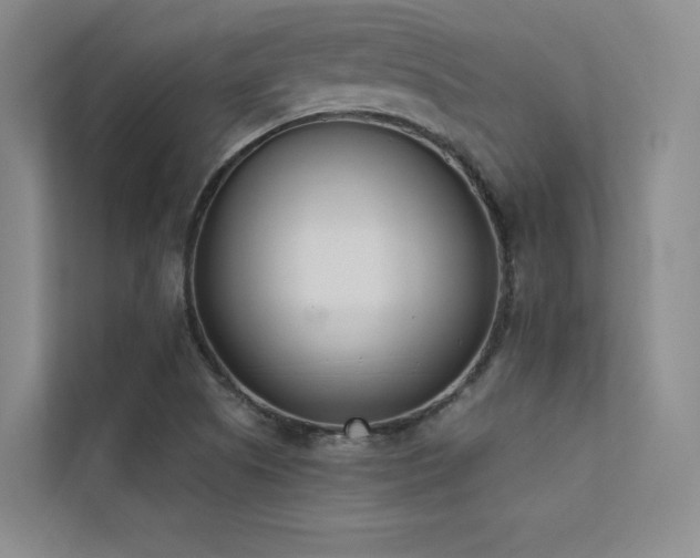 X0000113201505200909101101