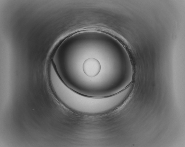 X0000113201506200909101101