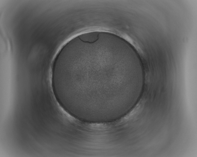 X0000113201508200909101101