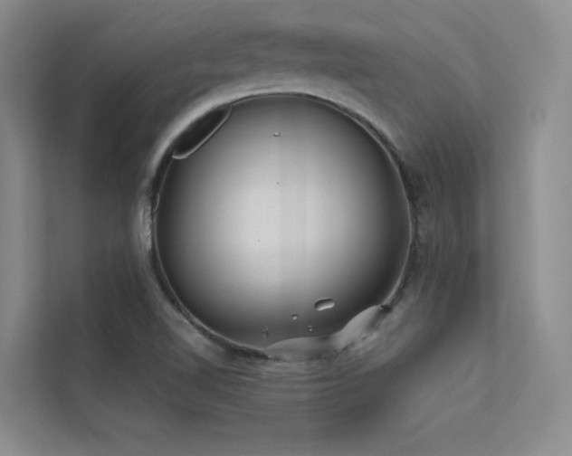 X0000113201510200909101101