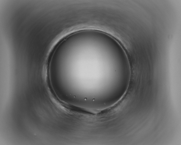 X0000113201511200909101101