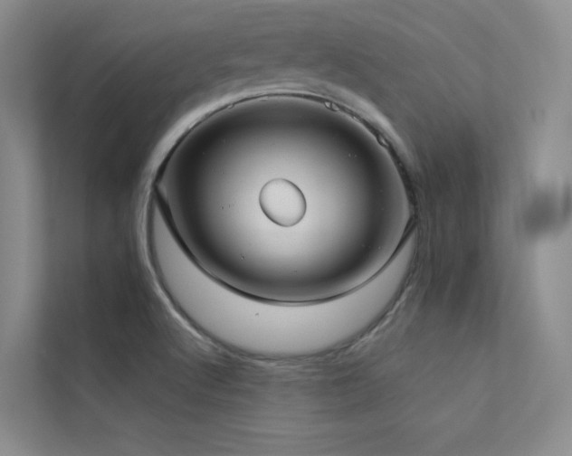 X0000113201512200909101101