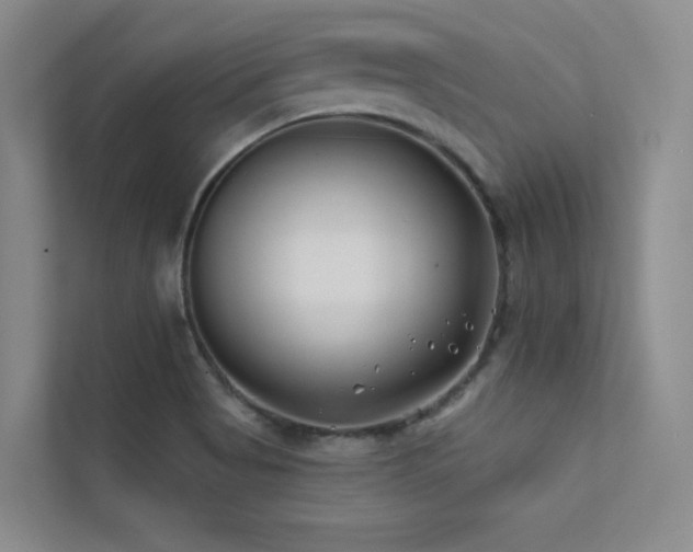 X0000113201513200909101101