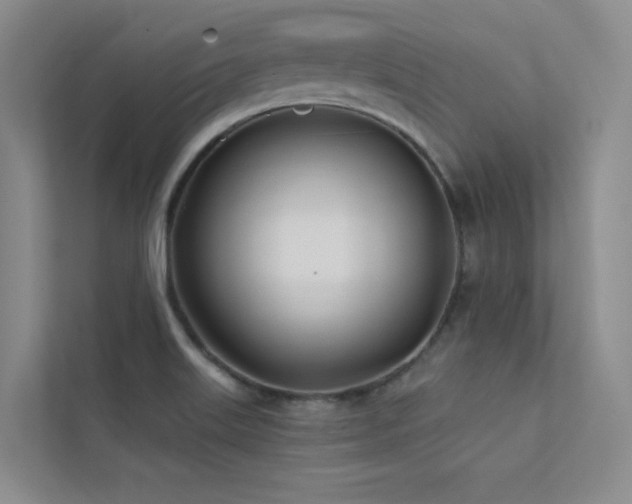 X0000113201515200909101101