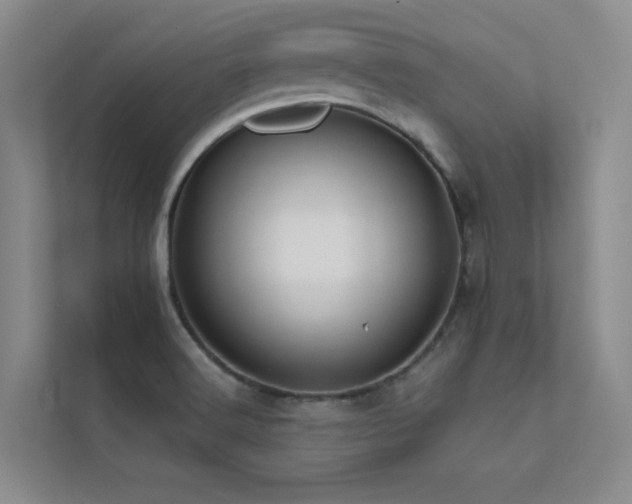 X0000113201516200909101101