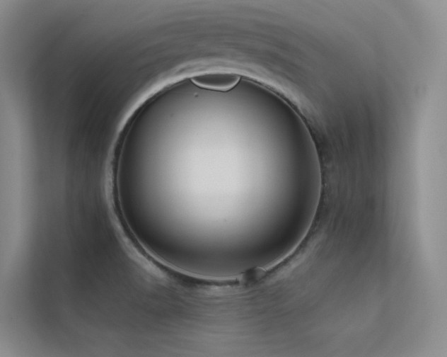 X0000113201518200909101101