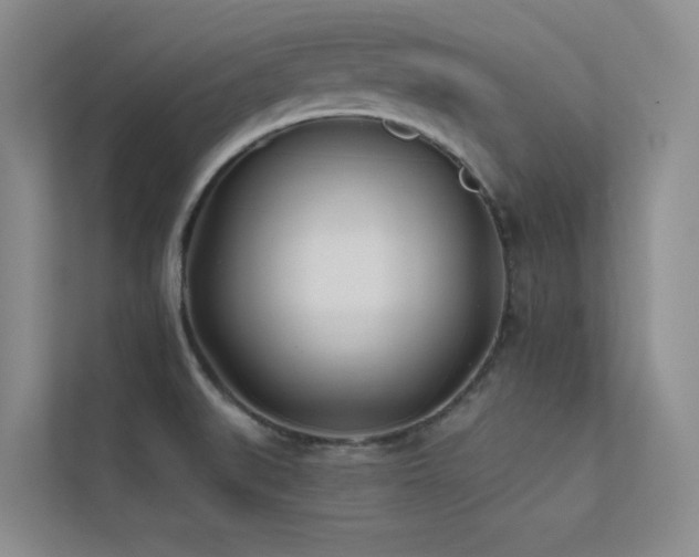 X0000113201519200909101101