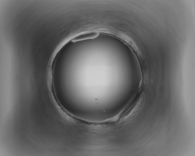 X0000113201520200909101101