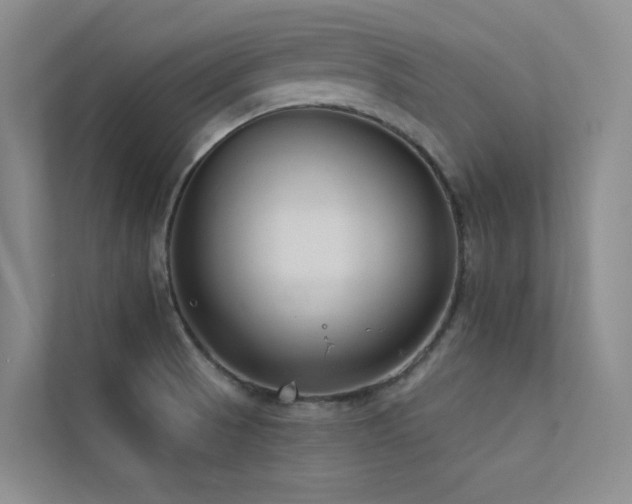 X0000113201521200909101101