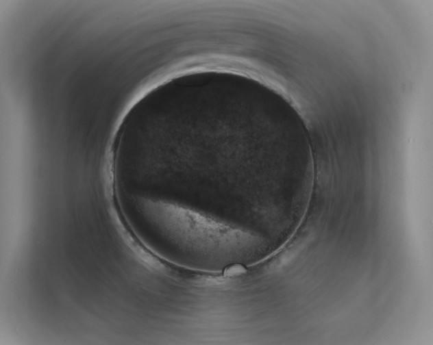 X0000113201522200909101101