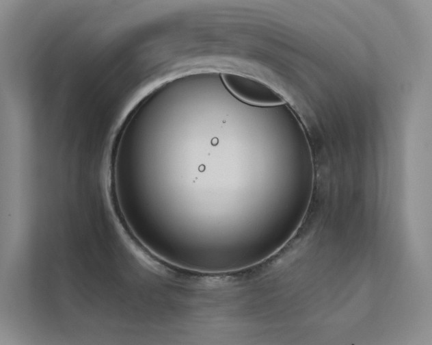 X0000113201523200909101101