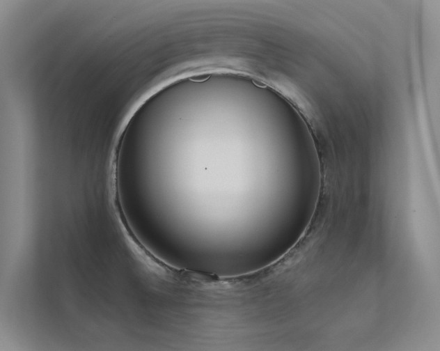 X0000113201524200909101102