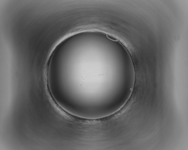 X0000113201526200909101102