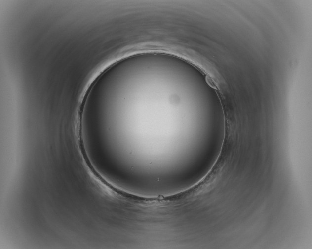 X0000113201527200909101102