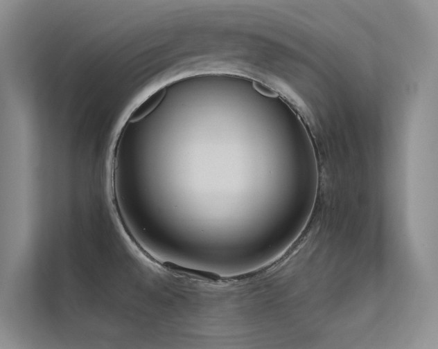 X0000113201528200909101102