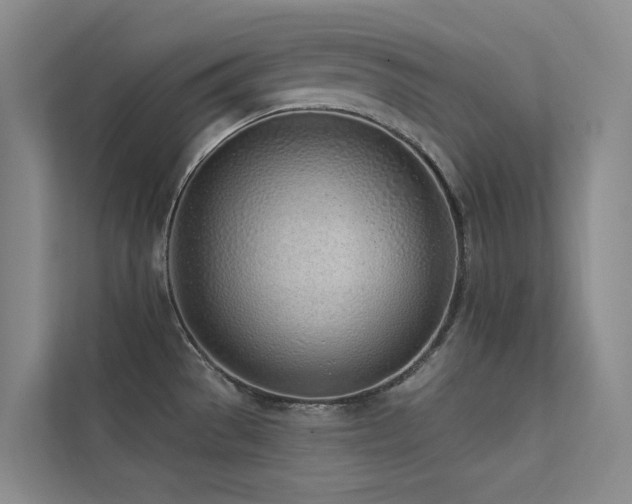 X0000113201529200909101102