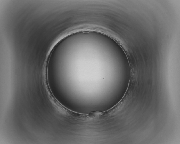 X0000113201530200909101102