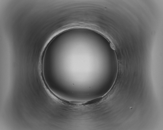 X0000113201531200909101102