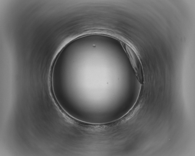 X0000113201533200909101102