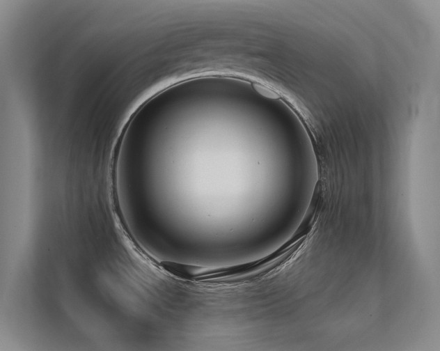 X0000113201534200909101102