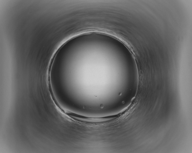 X0000113201535200909101102