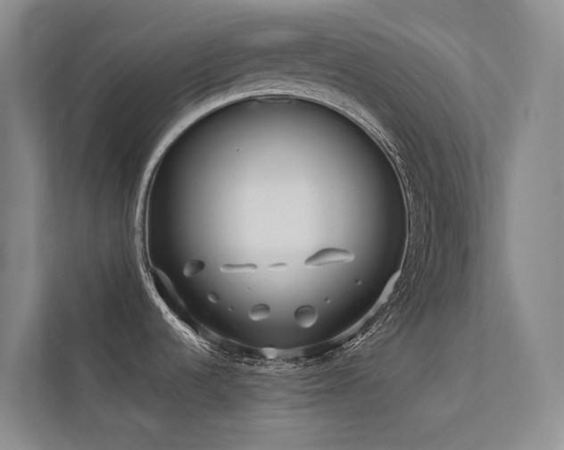 X0000113201536200909101102