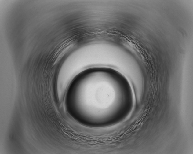 X0000113200001200909171523