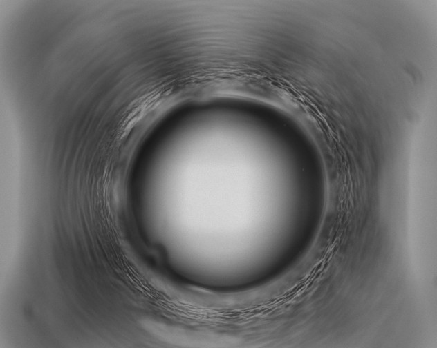 X0000113200002200909171523