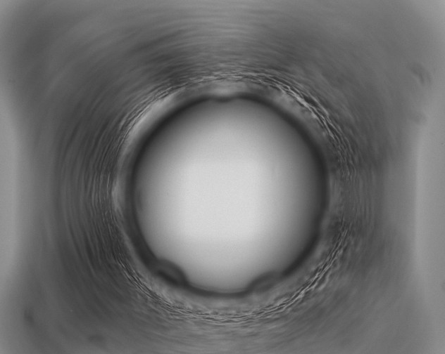 X0000113200003200909171523