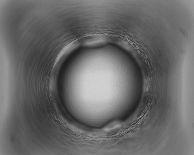 X0000113200004200909171523