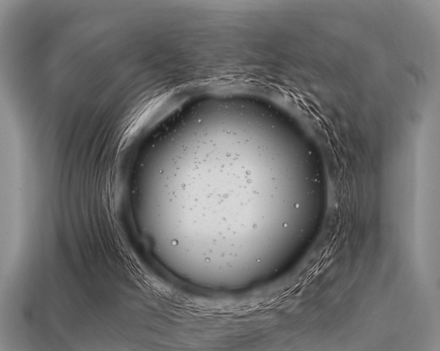 X0000113200005200909171523