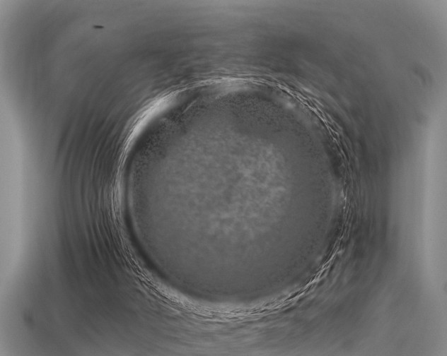 X0000113200006200909171523