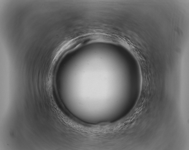 X0000113200007200909171523