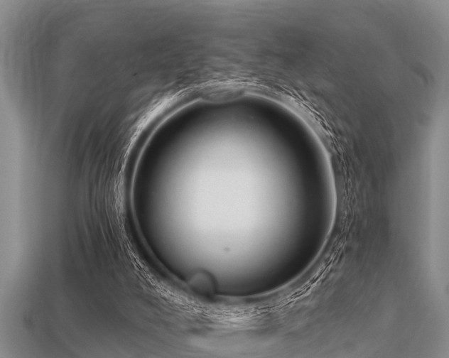 X0000113200008200909171523