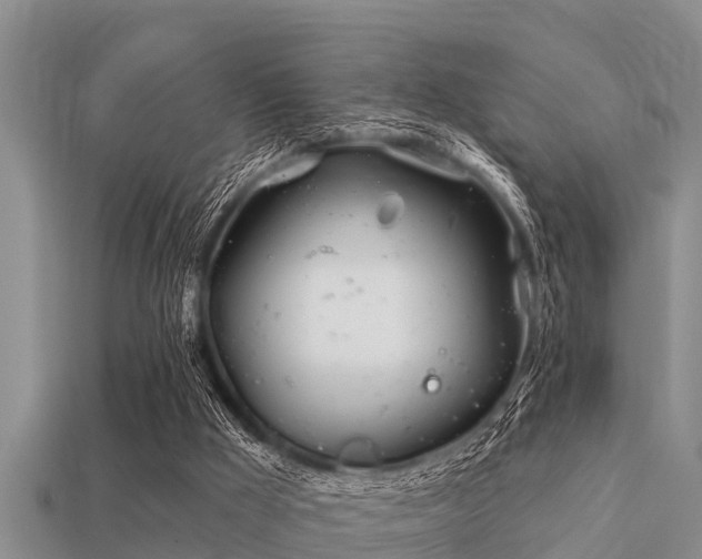 X0000113200009200909171523