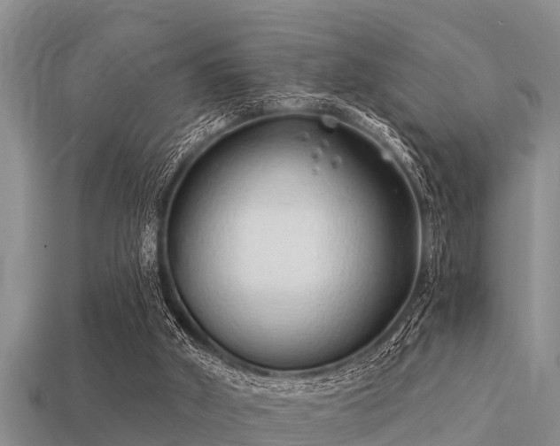 X0000113200010200909171523