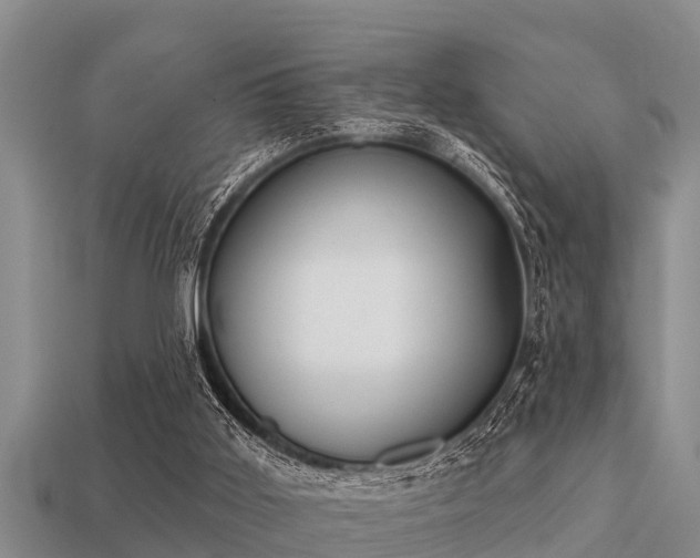 X0000113200011200909171523