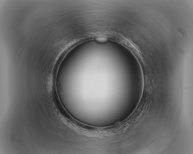 X0000113200012200909171523